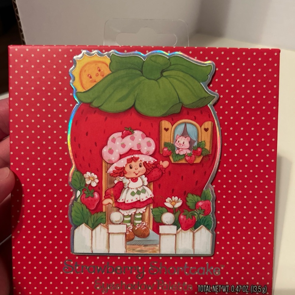 Strawberry Shortcake Collectible Tin